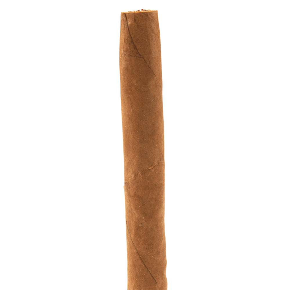 Blue Razz Limited Edition, , cigars